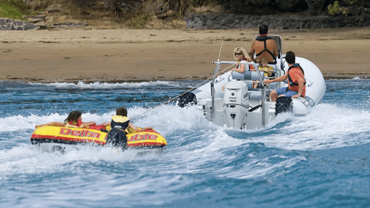Amphibious Sealegs 7.1m Sport RIB 6